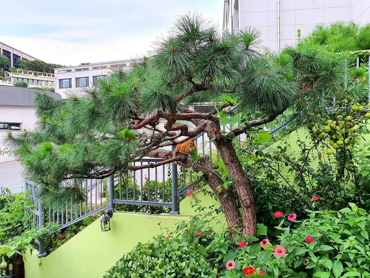 Happy Garden Guesthouse Seoul
